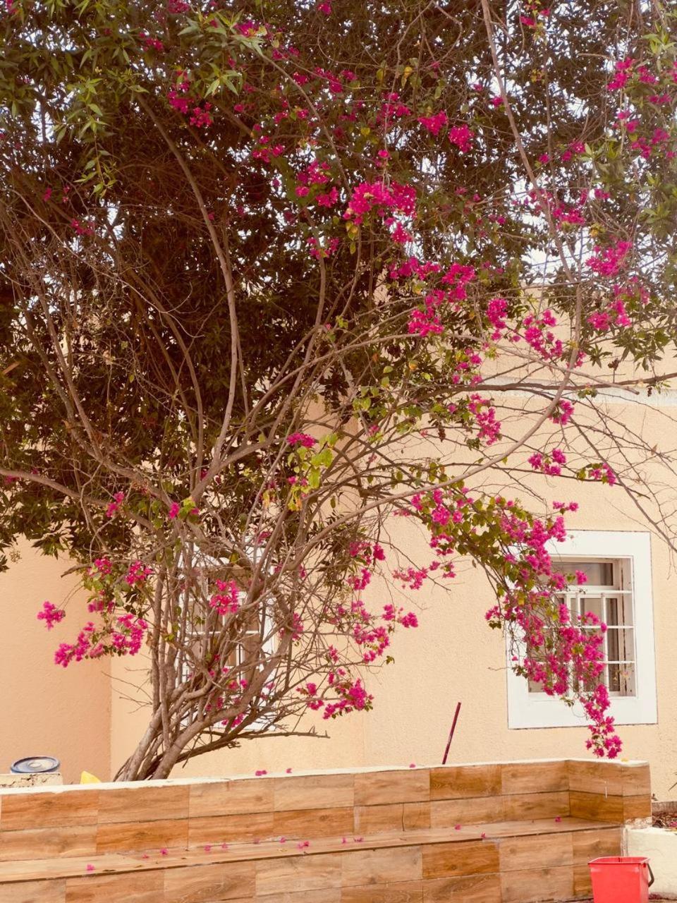 Star Emirates Garden * Salalah